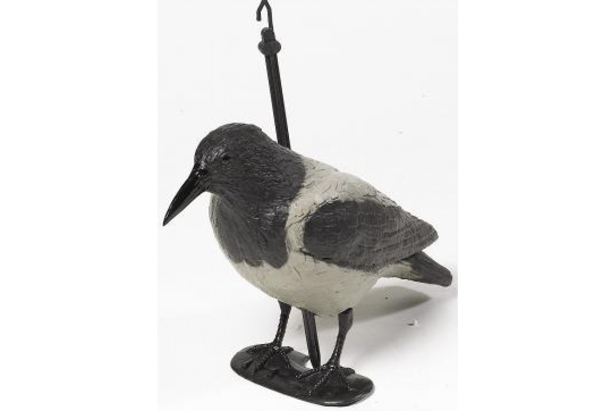 Чучело ворона серая с лапами (на опоре)