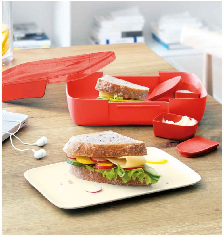 Sandwich Box Контейнер д/сендвичей и бутербродов6